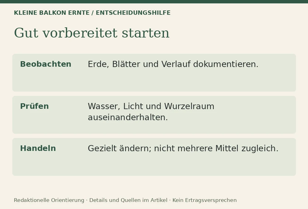 Die 10 häufigsten Anfängerfehler im Balkongarten: Entscheidungshilfe