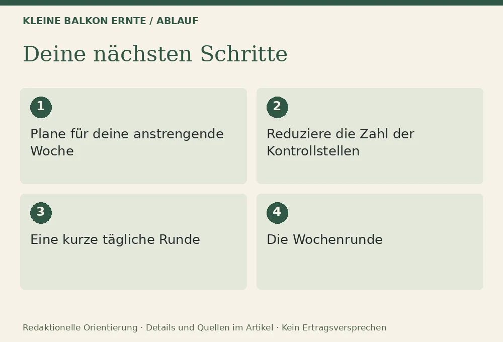 Balkongarten für Berufstätige: pflegeleichte Planung: Ablauf