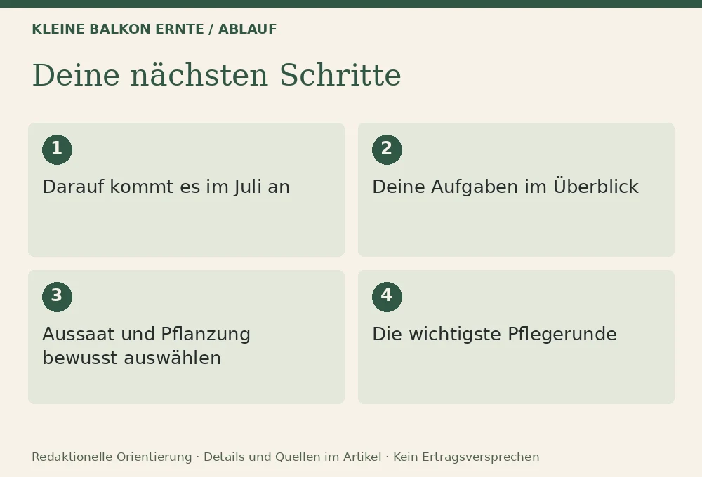 Balkongarten im Juli: Ablauf