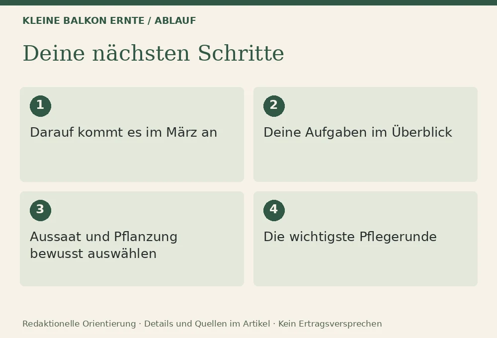 Was du im März aussäen und pflanzen kannst: Ablauf