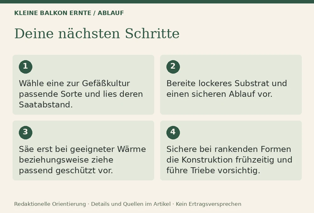 Bohnen auf dem Balkon: Ablauf