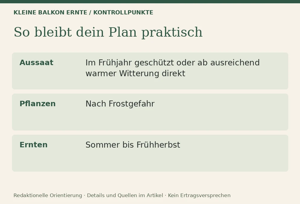 Bohnen auf dem Balkon: Kontrollpunkte