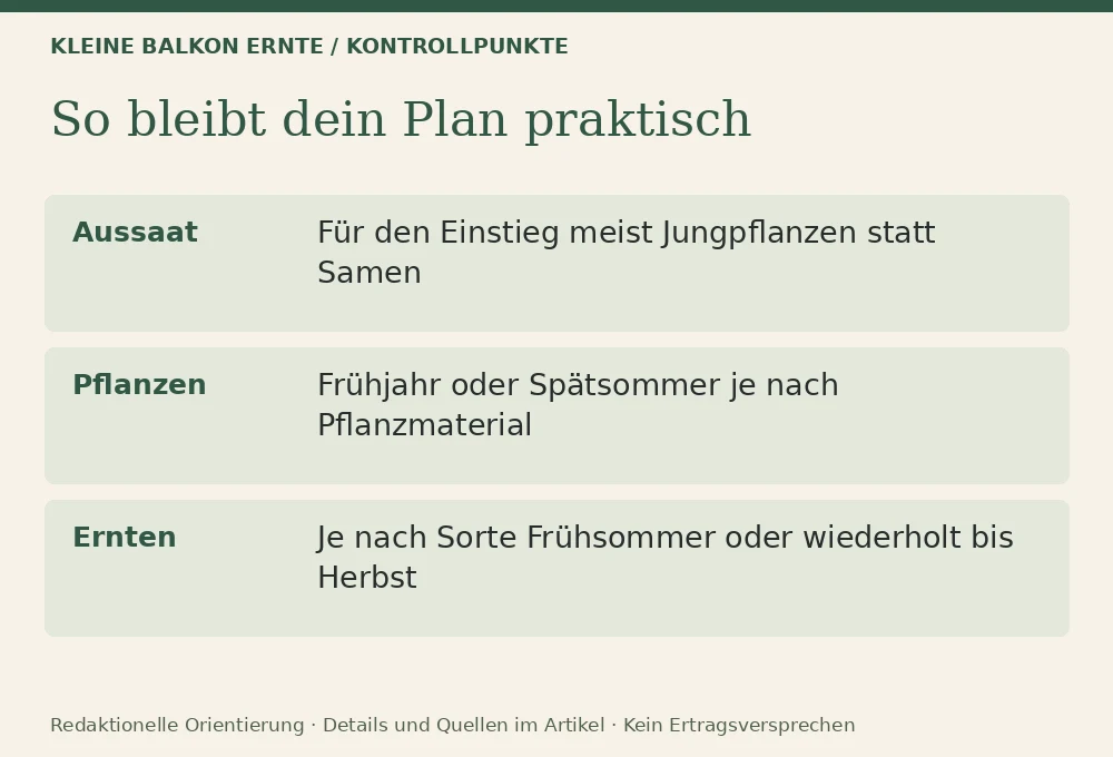 Erdbeeren auf dem Balkon: Kontrollpunkte
