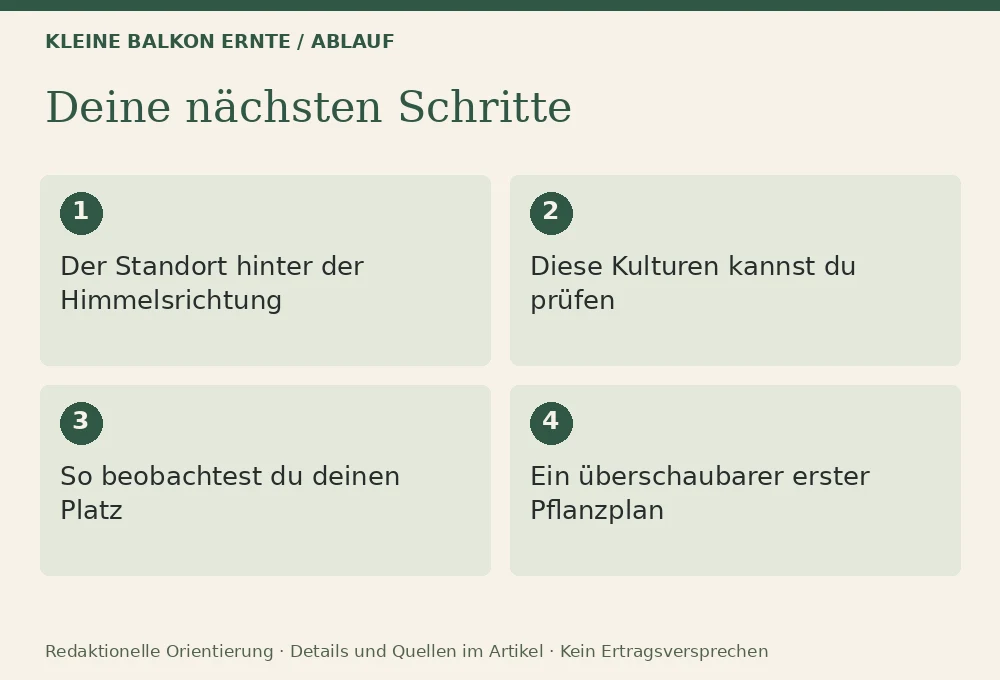 Gemüse für den Südbalkon: Ablauf