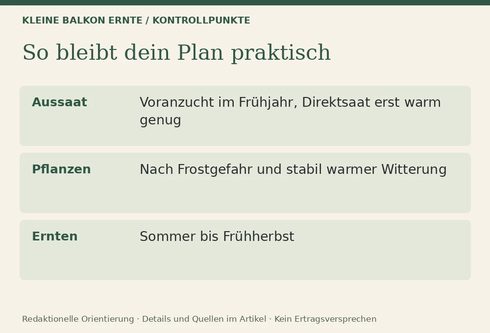 Gurken im Kübel anbauen: Kontrollpunkte