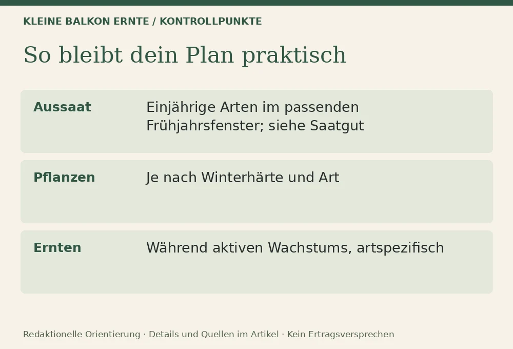 Kräutergarten auf dem Balkon: Kontrollpunkte
