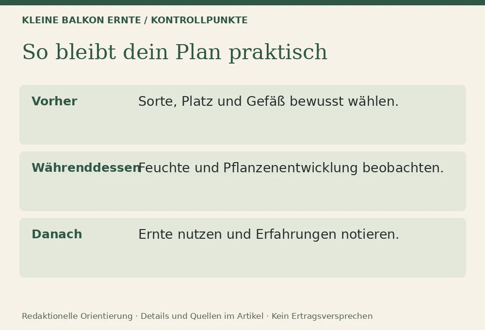 Mischkultur auf dem Balkon: Was sinnvoll ist: Kontrollpunkte