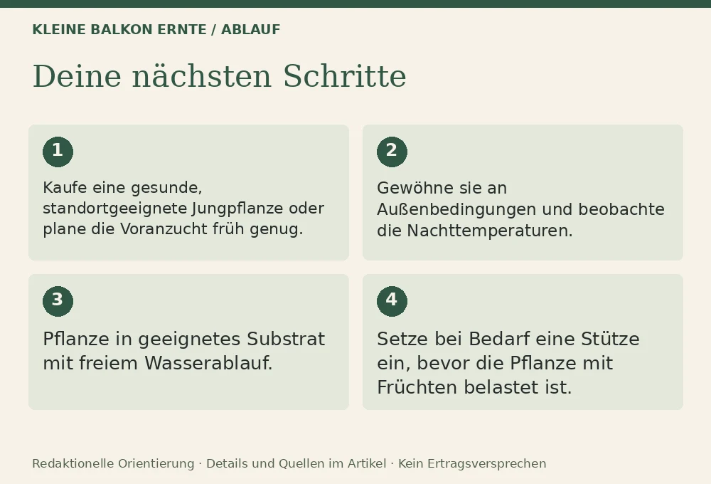 Paprika und Chili auf dem Balkon: Ablauf
