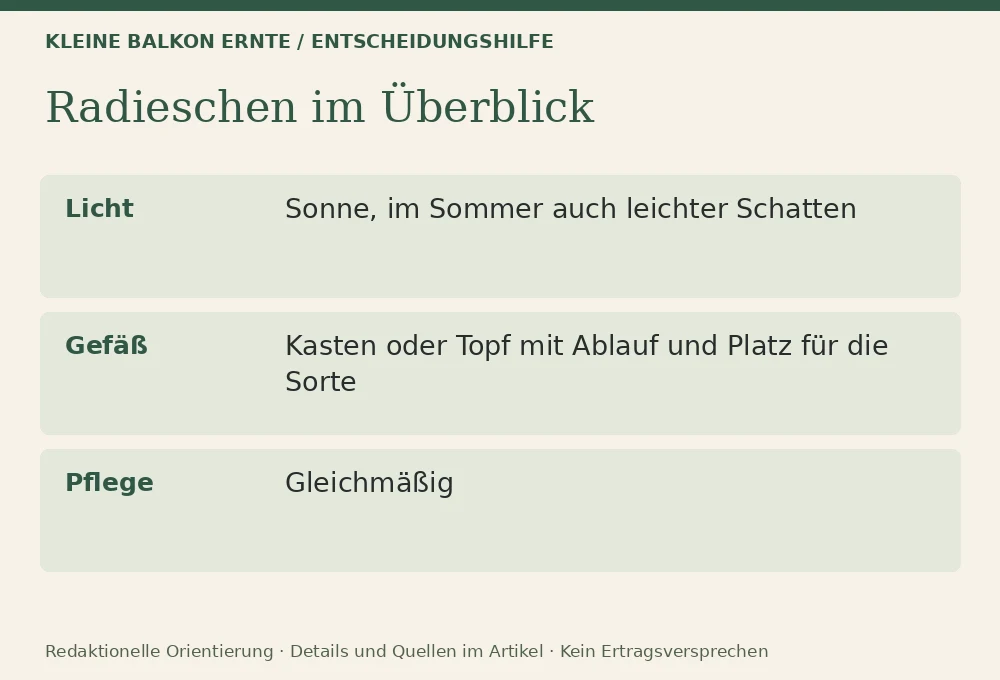 Radieschen im Topf anbauen: Entscheidungshilfe