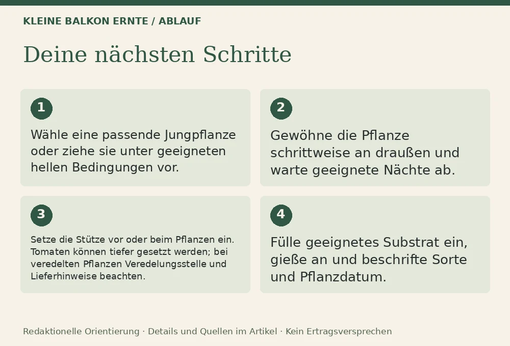 Tomaten im Topf anbauen: Ablauf