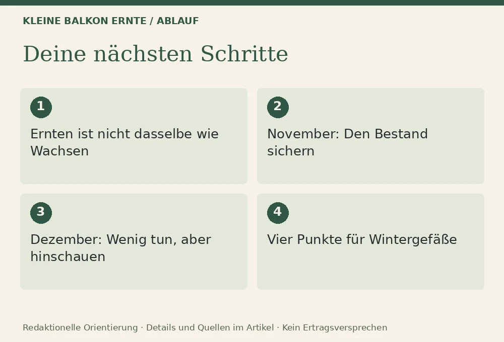 Wintergemüse auf dem Balkon: Ablauf