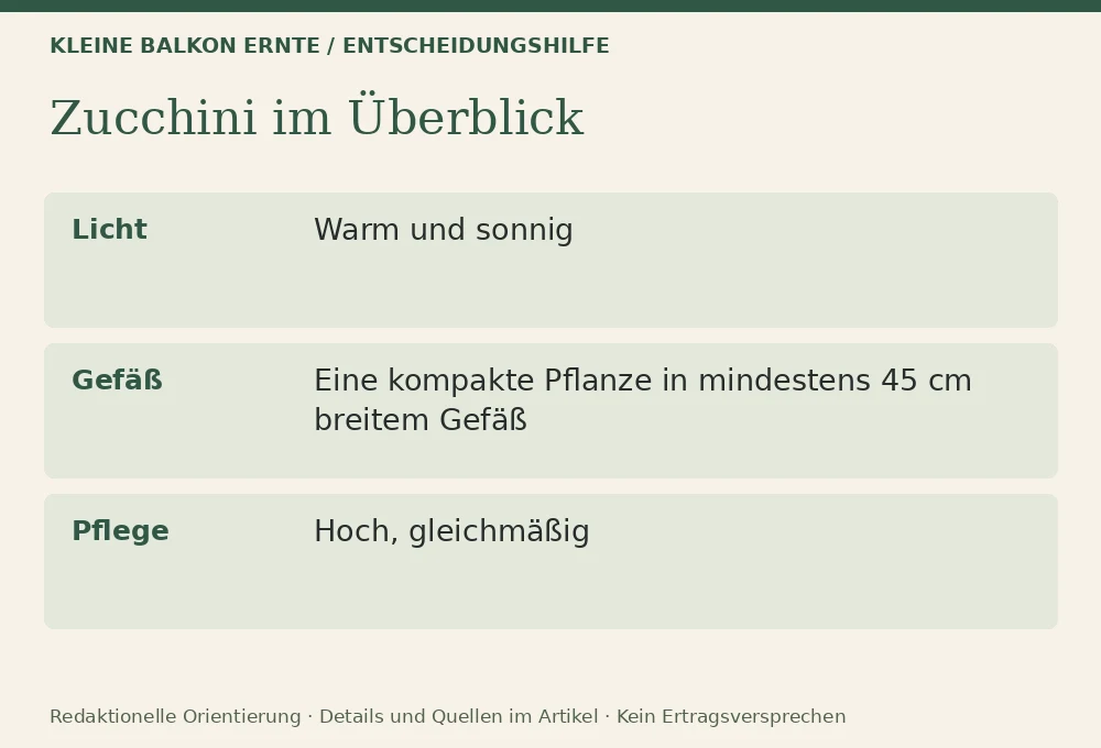Zucchini auf dem Balkon: Wann es sinnvoll ist und wann nicht: Entscheidungshilfe