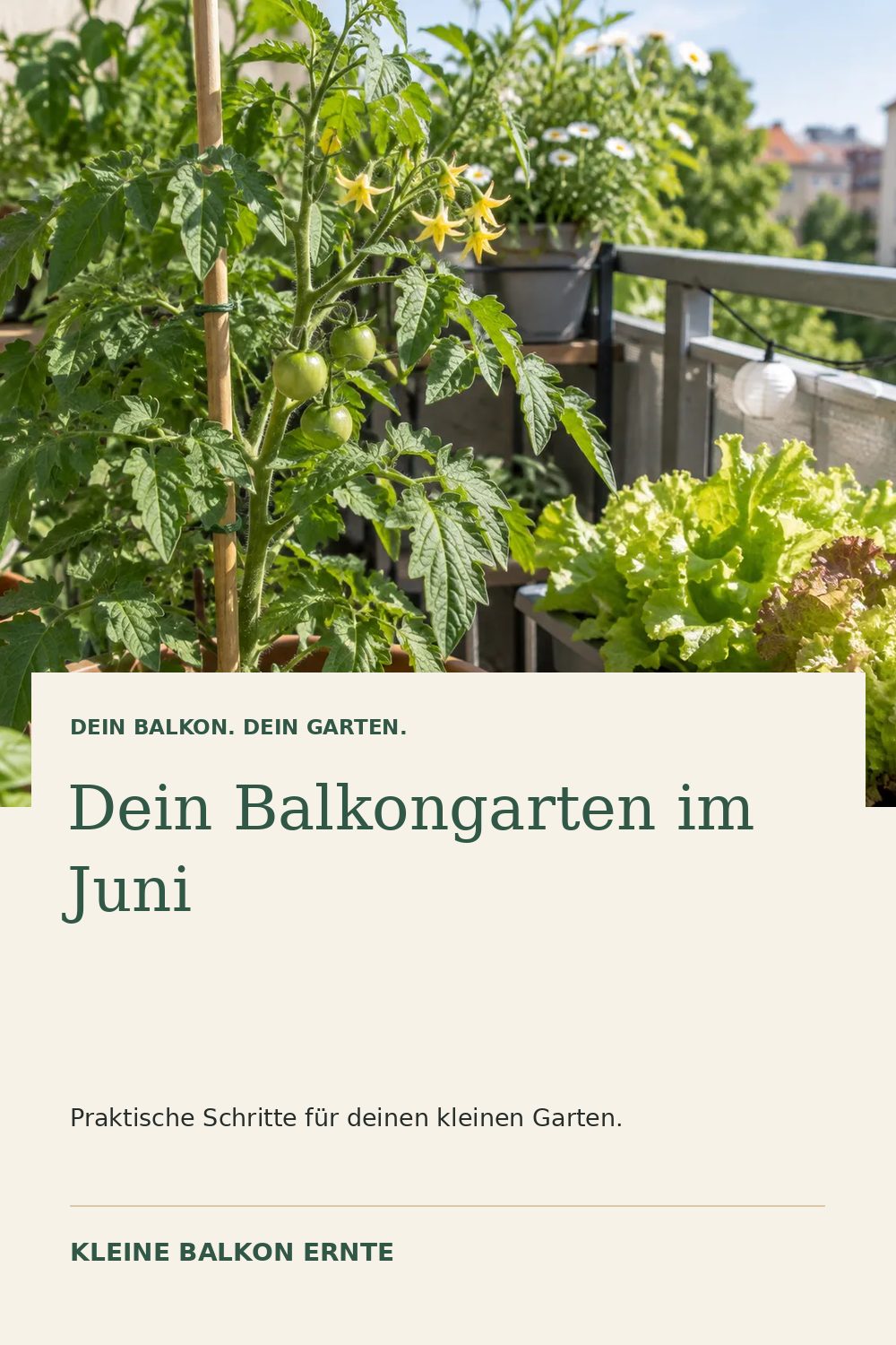 Pinterest-Grafik: Balkongarten im Juni: säen, pflegen, ernten – Variante 1