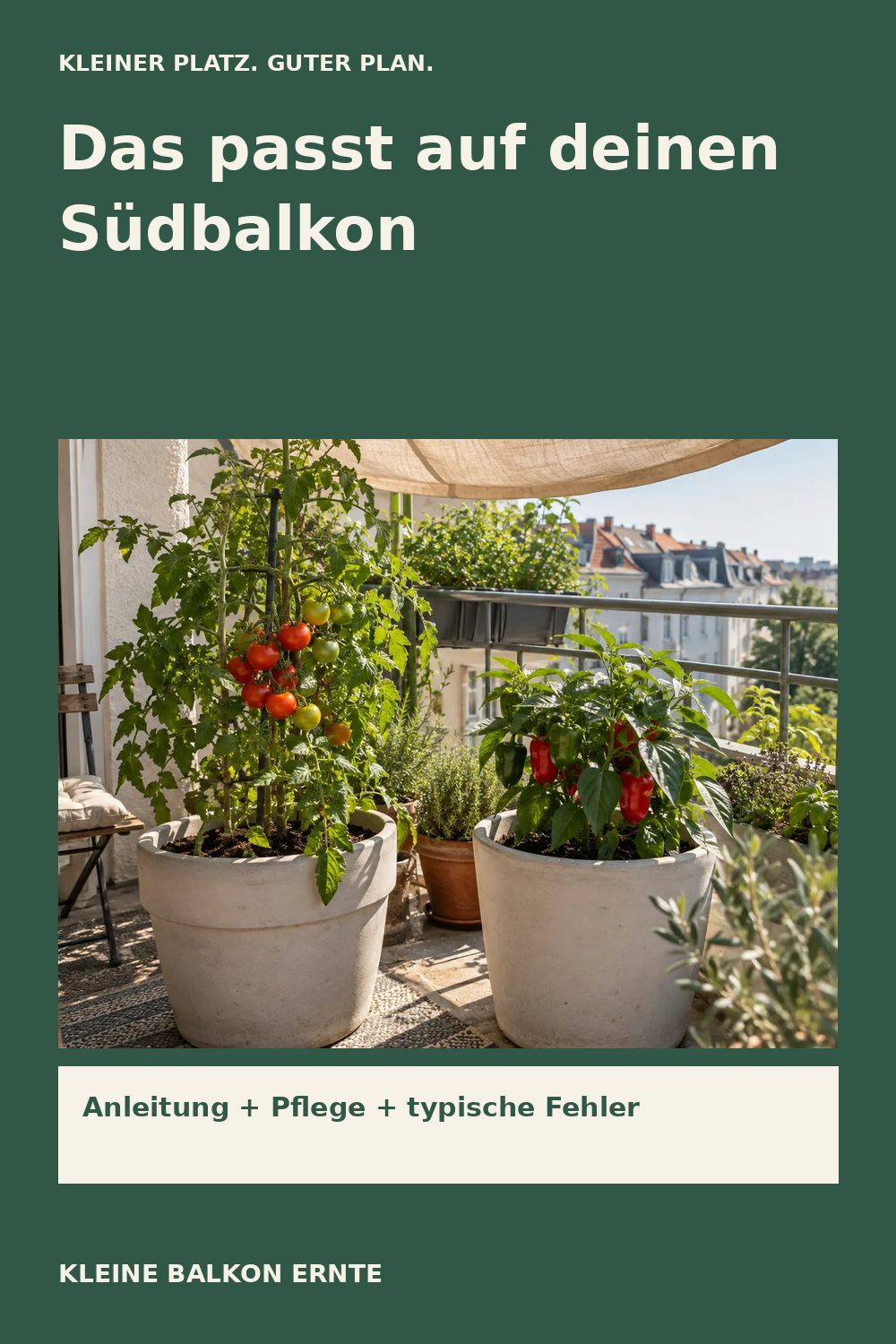 Pinterest-Grafik: Gemüse für den Südbalkon – Variante 2
