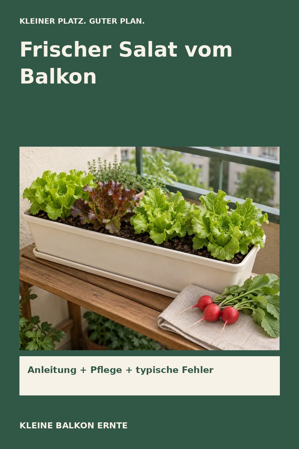 Pinterest-Grafik: Salat auf dem Balkon anbauen – Variante 2