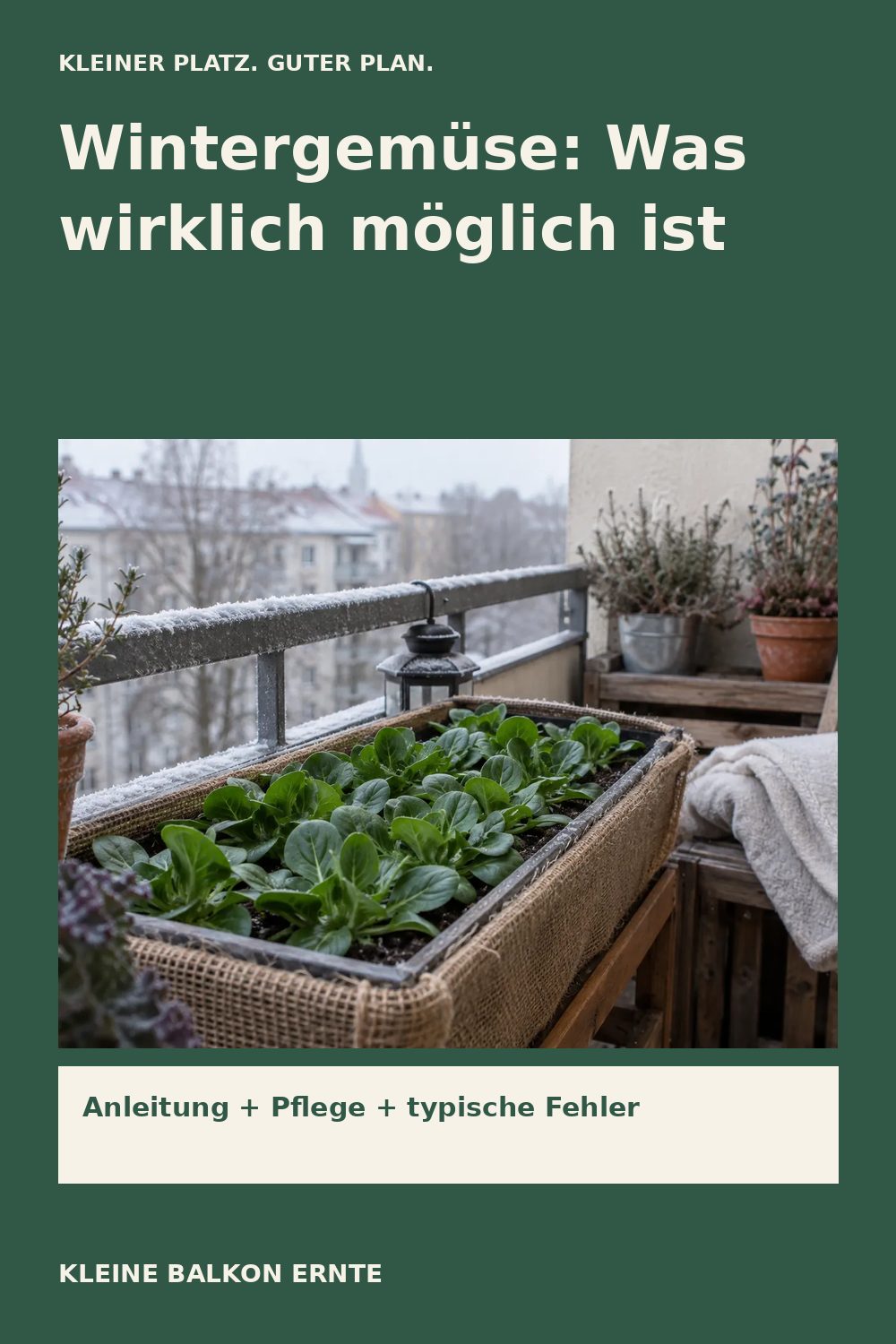 Pinterest-Grafik: Wintergemüse auf dem Balkon – Variante 2